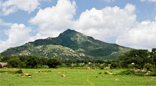 Jayanti Arunachala
click to see a larger image Jayanti Arunachala